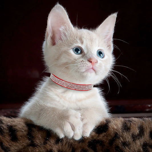 Rhinestone Leather Cat Collar