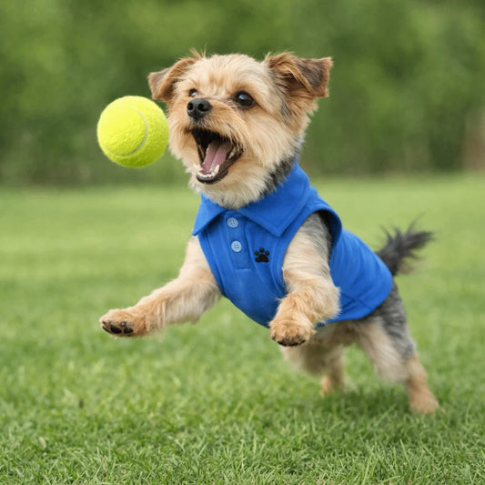 Ärmelloses Poloshirt für Hunde mit Pfotendetail