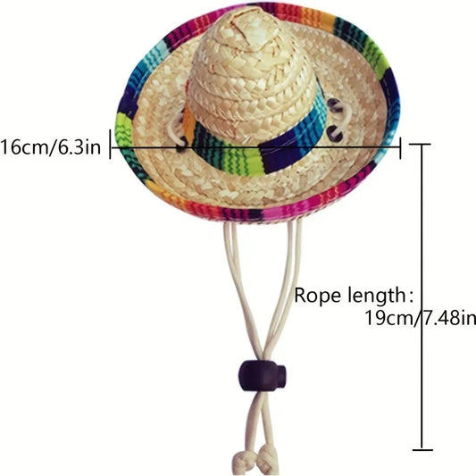 Summer Cat Hat Adjustable