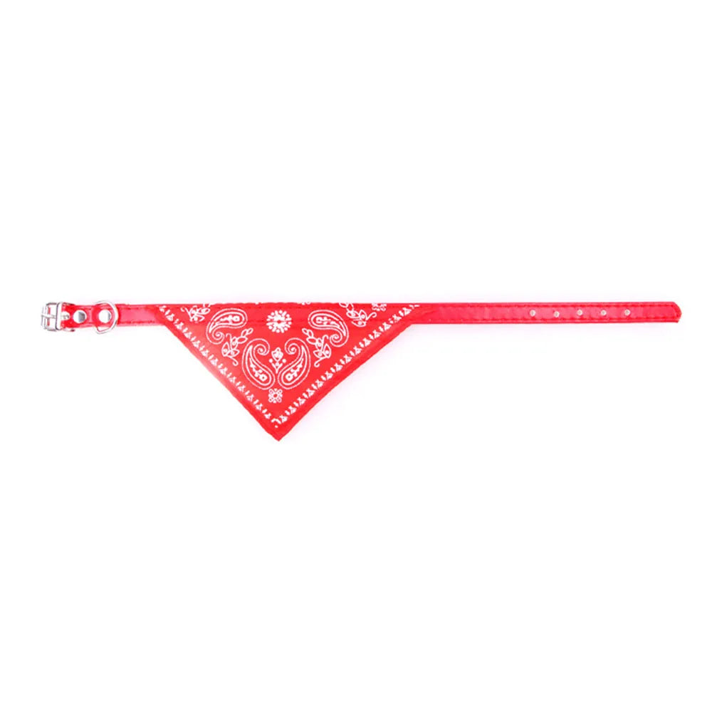 Paisley Cat Bandana Collar