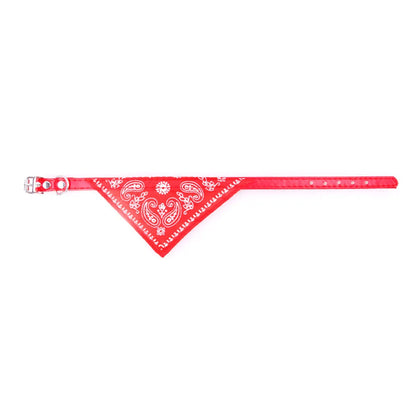 Paisley Cat Bandana Collar