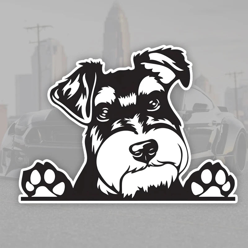 Peeking Dog Car Decal