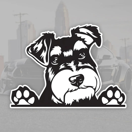Peeking Dog Car Decal