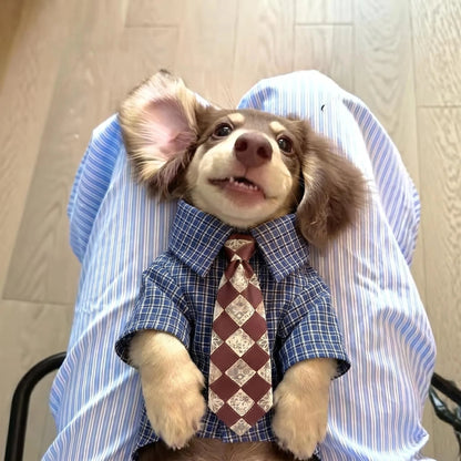 Plaid Pet Shirt with Diamond-Pattern Necktie