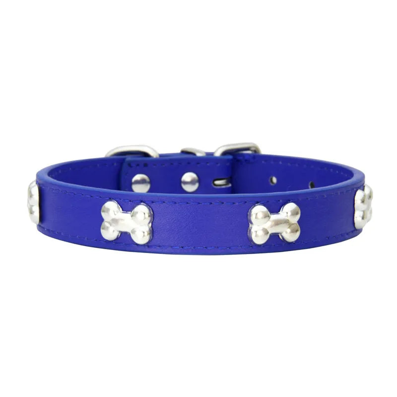 Colorful Dog Collar with Bone Studs