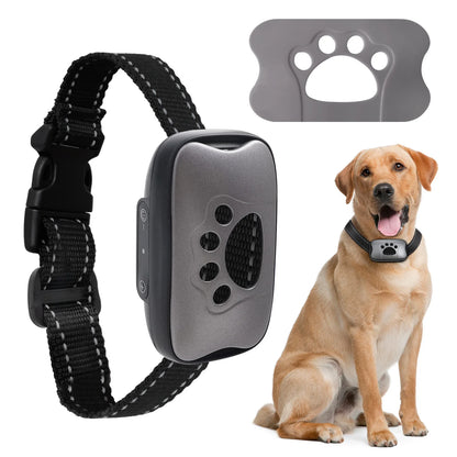 Smart Dog Training Collar
