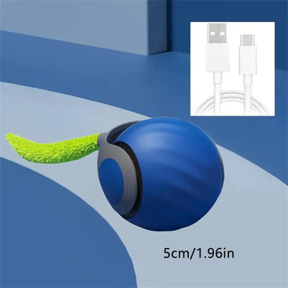 Smart Cat Ball Interactive