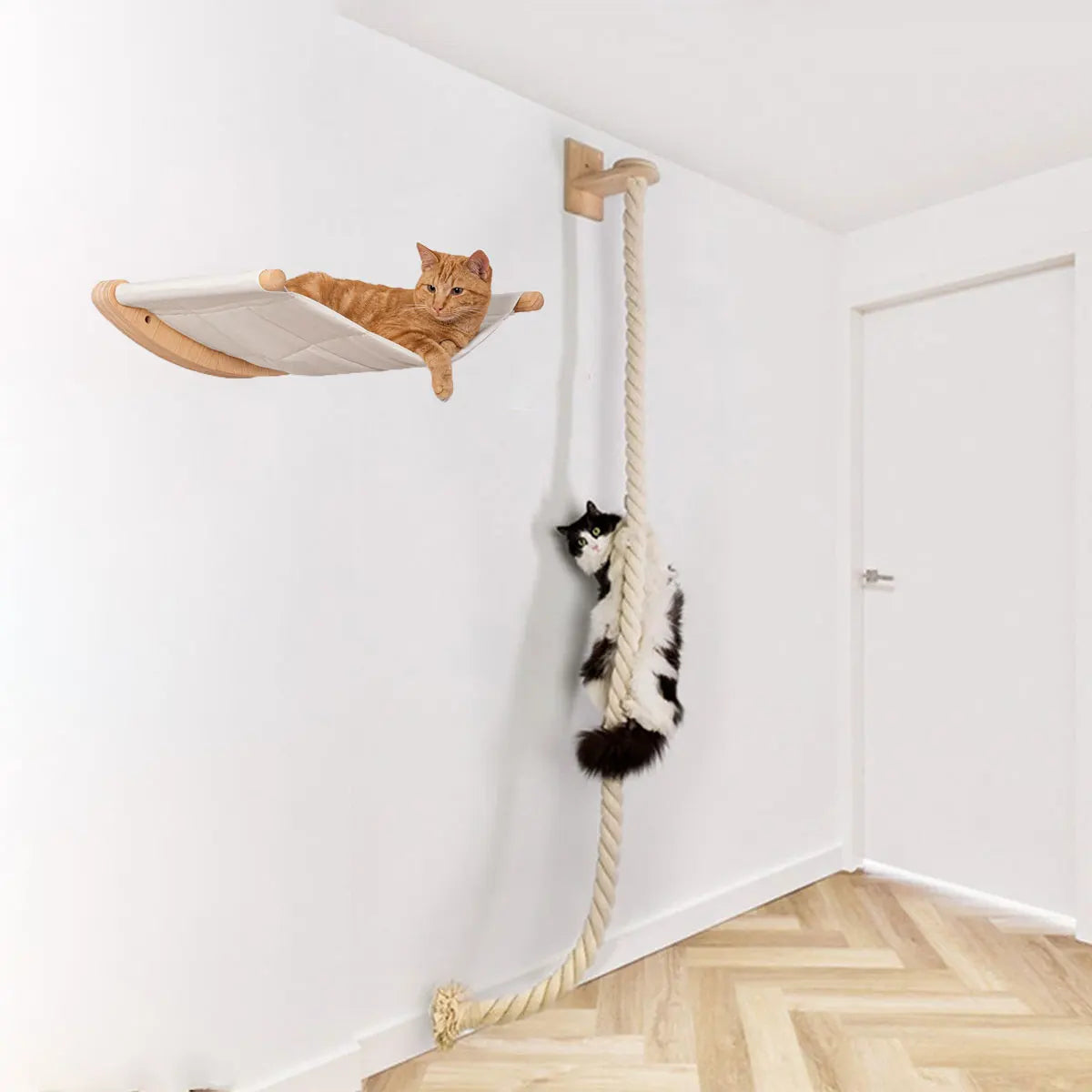 Cat Wall Climbing Shelves Sisal
