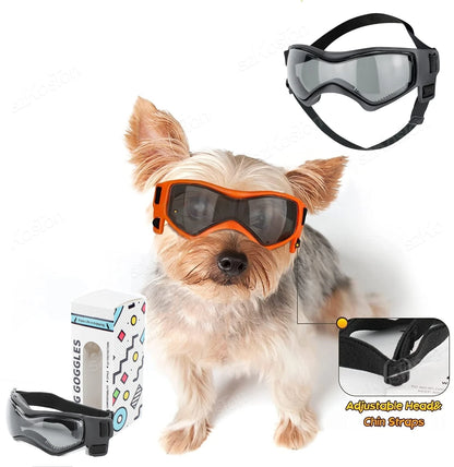 Occhiali per cani