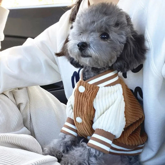 Warm Dog Sweater Jacket