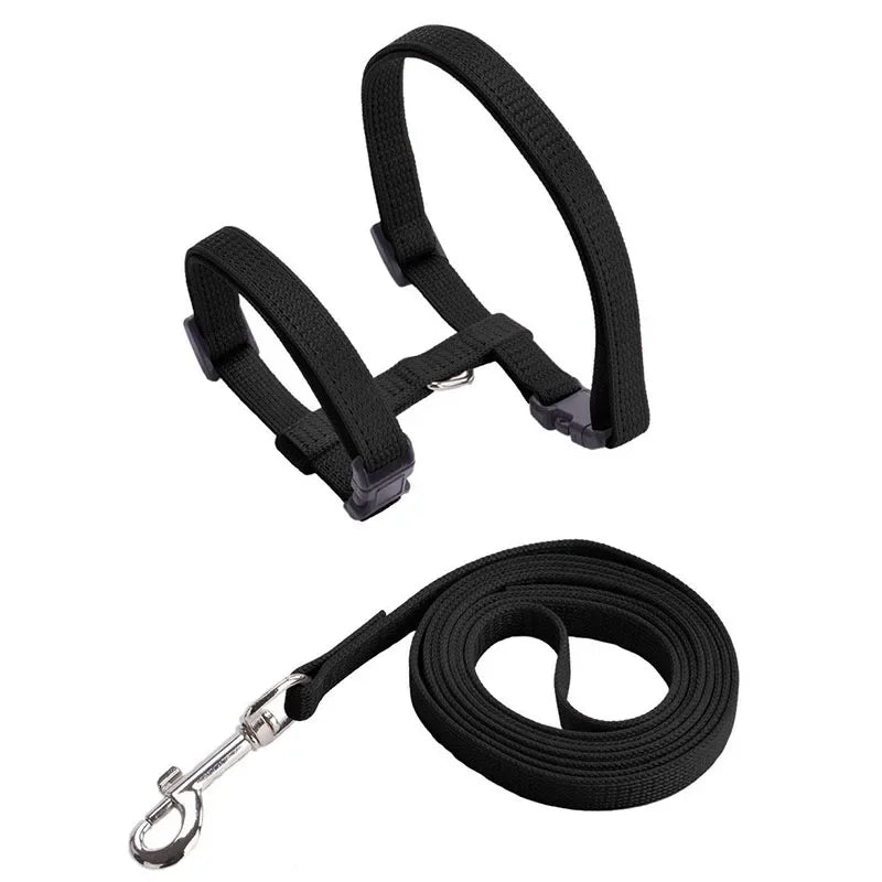 Collier de harnais anti-évasion pour chat