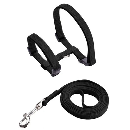 Collier de harnais anti-évasion pour chat