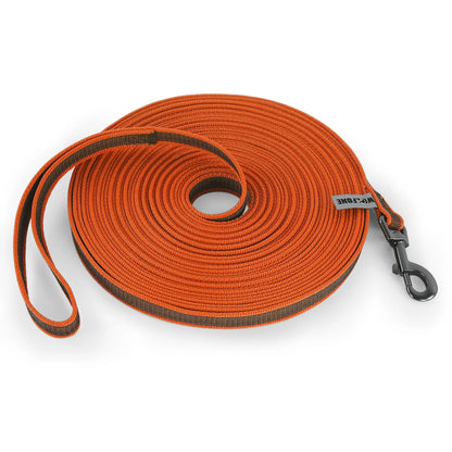 Heavy Duty Nylon Dog Leash