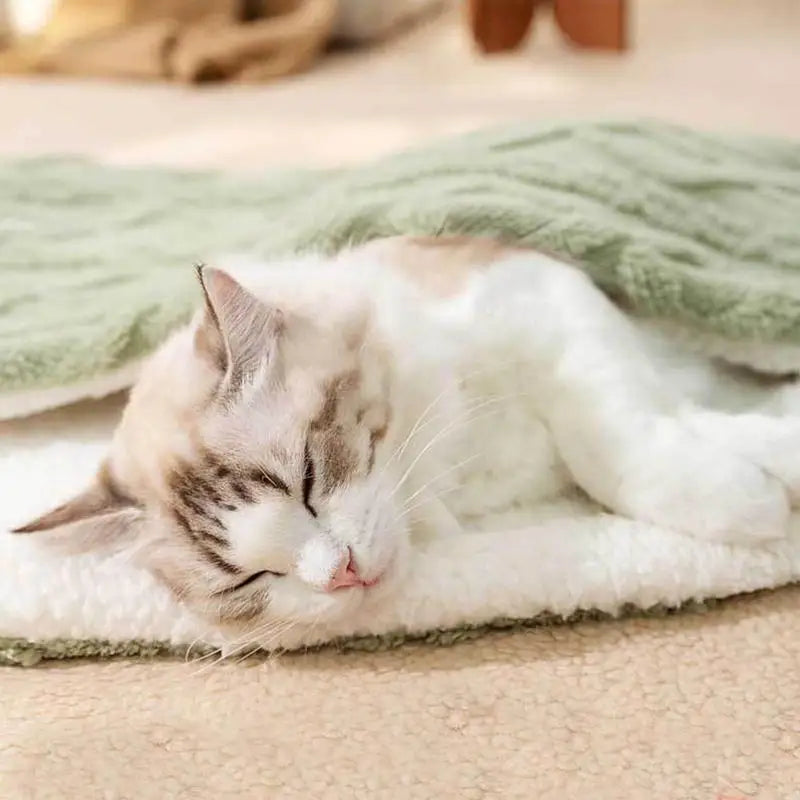 Pet Blanket Fluffy Cushion