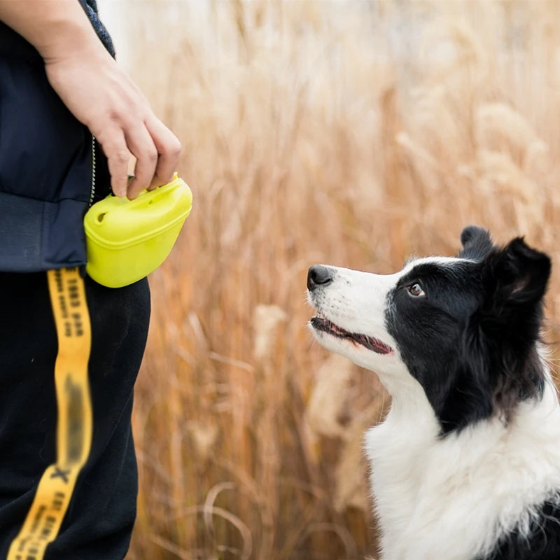 Portable Dog Treat Pouch
