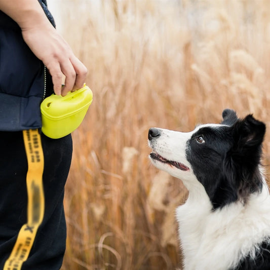 Portable Dog Treat Pouch