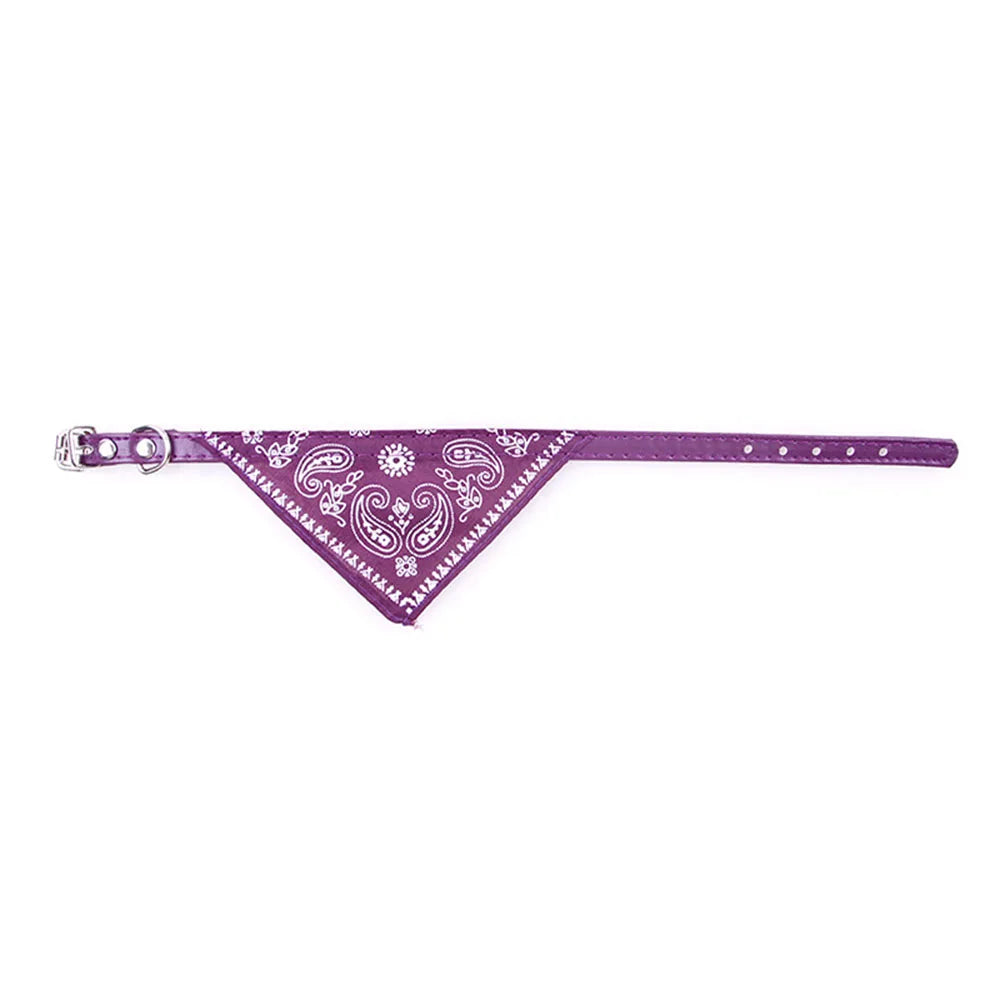 Paisley Cat Bandana Collar