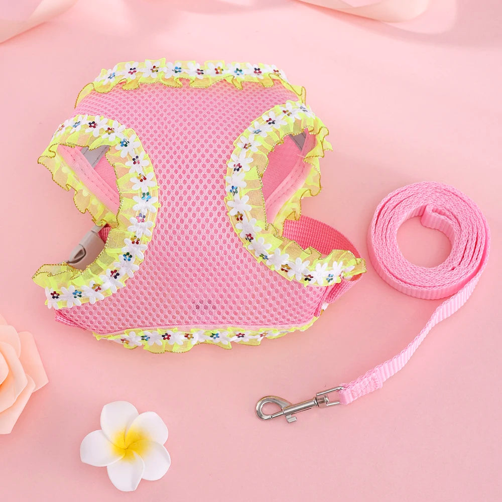Butterfly Cat Harness Set
