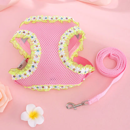 Butterfly Cat Harness Set