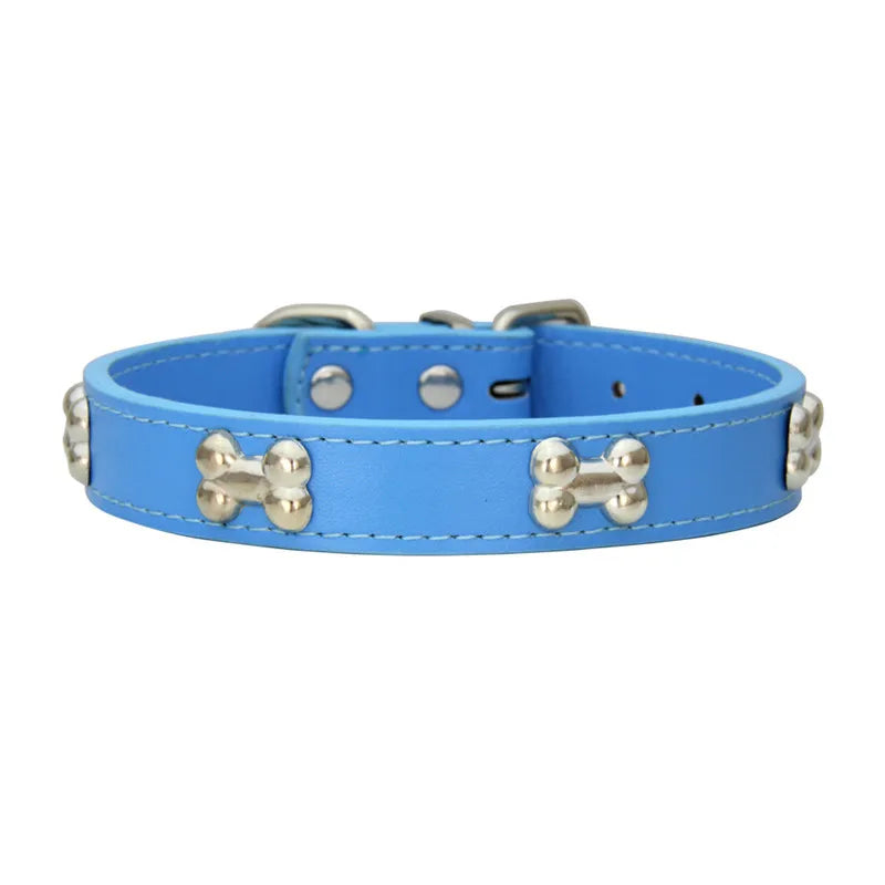 Colorful Dog Collar with Bone Studs