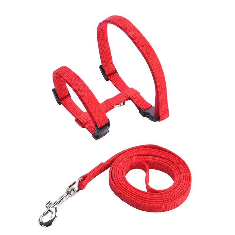 Collier de harnais anti-évasion pour chat