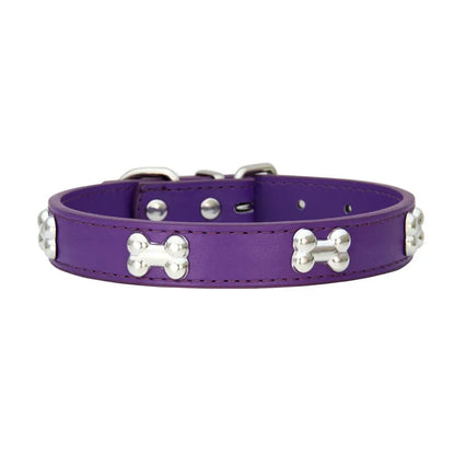 Colorful Dog Collar with Bone Studs