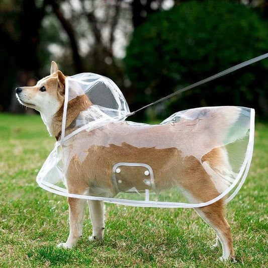 Clear Shield Waterproof Dog Rain Cape