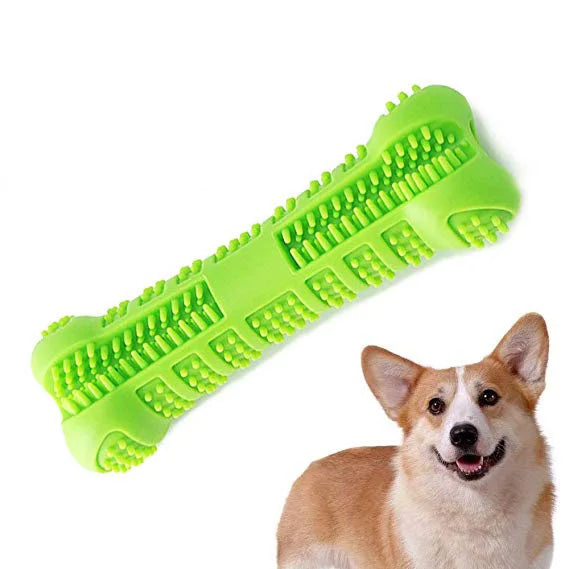 Bristle Bone Dog Chew Toy