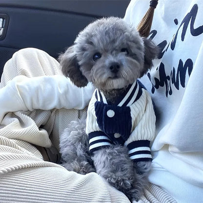 Veste de baseball pour animal, style velours côtelé bleu
