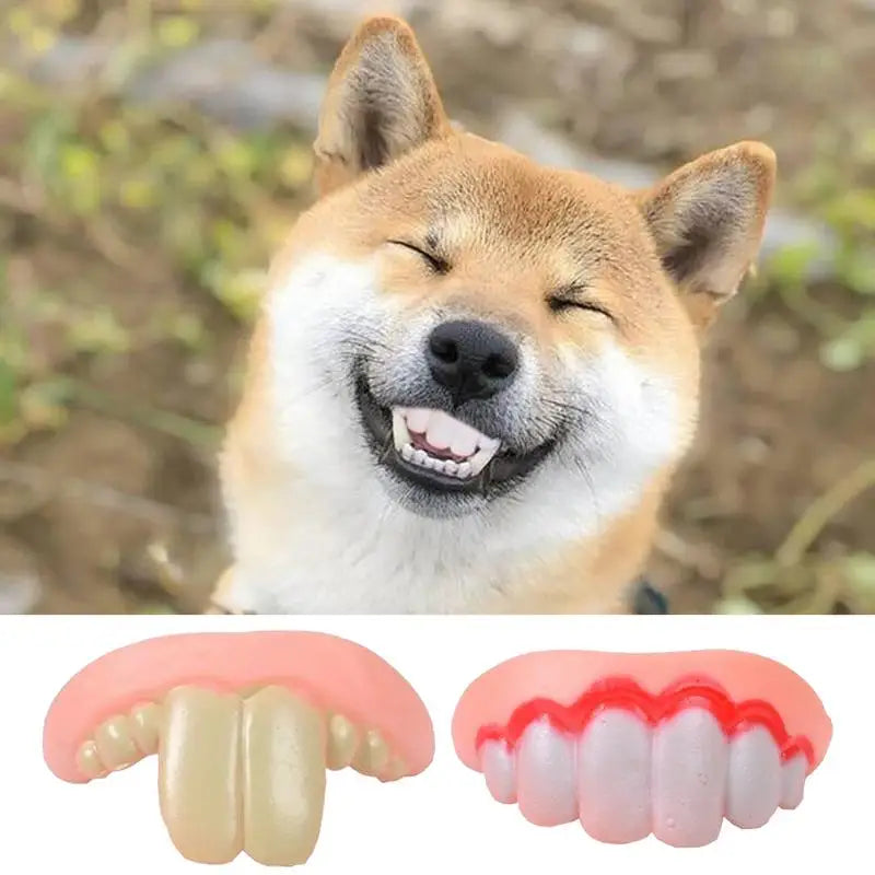 Funny Pet False Teeth Toy