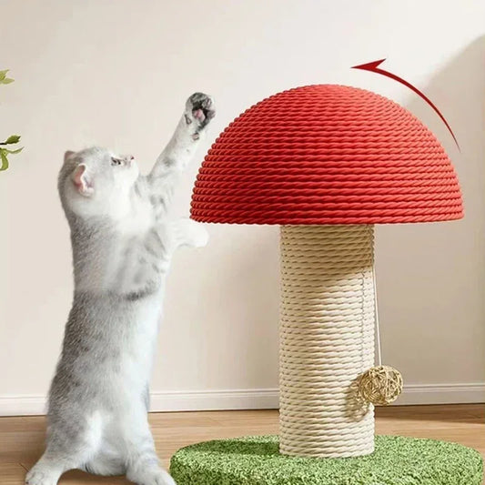 Mushroom Cat Scratch