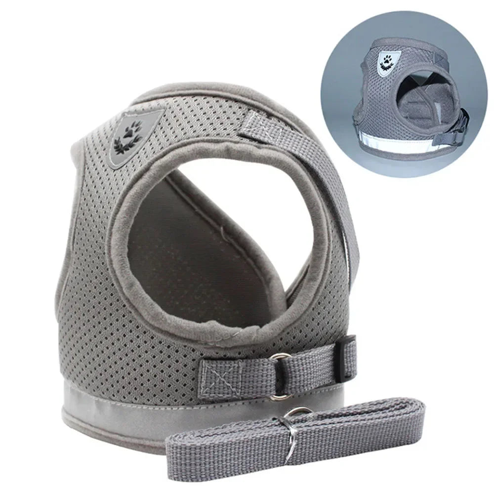 Cat Adjustable Harness Walking
