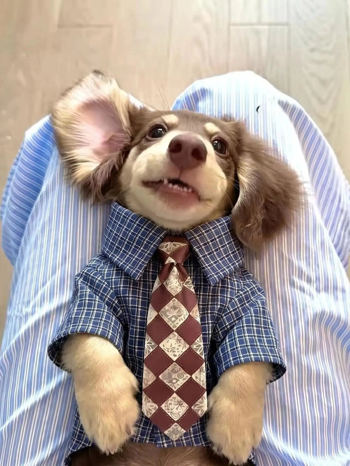 Plaid Pet Shirt with Diamond-Pattern Necktie
