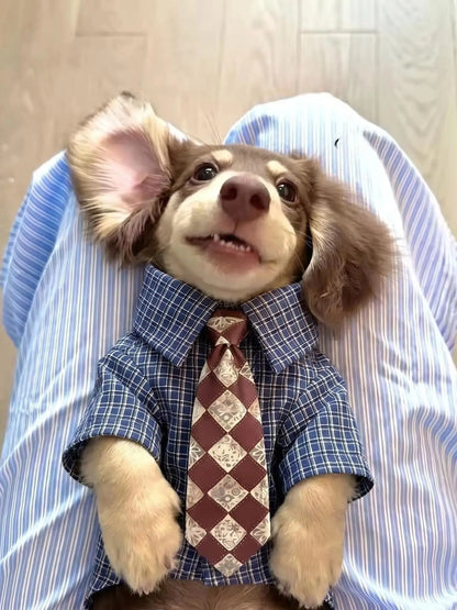 Plaid Pet Shirt with Diamond-Pattern Necktie