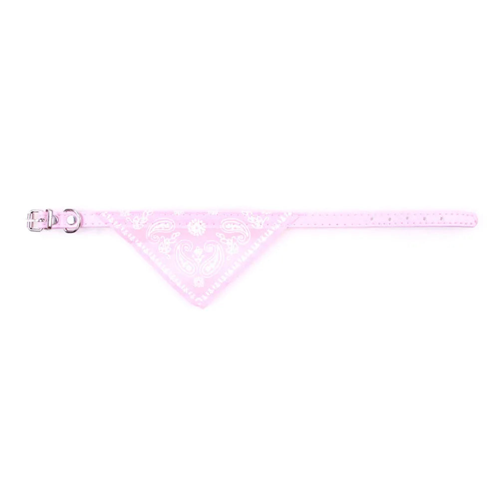 Paisley Cat Bandana Collar