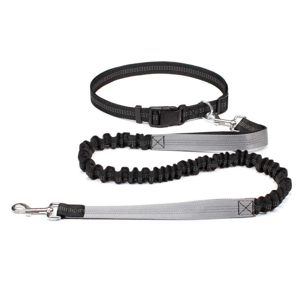 Dog Dad Pro Hands-Free Leash Set