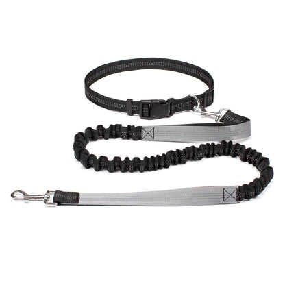 Dog Dad Pro Hands-Free Leash Set