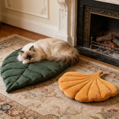 Cushion for Cats Cozy