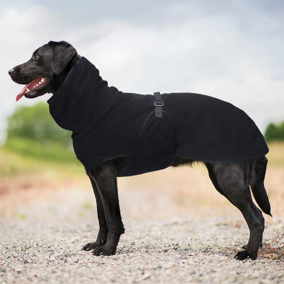 High-Neck Dog Coat with Adjustable Back Strap