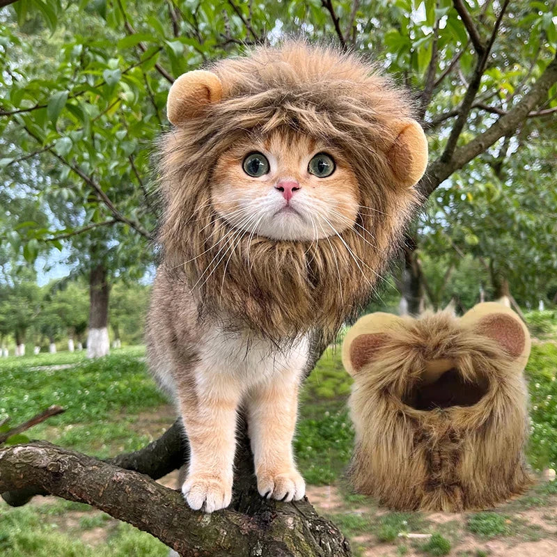 Perruque pour animaux de compagnie majestueuse crinière de lion