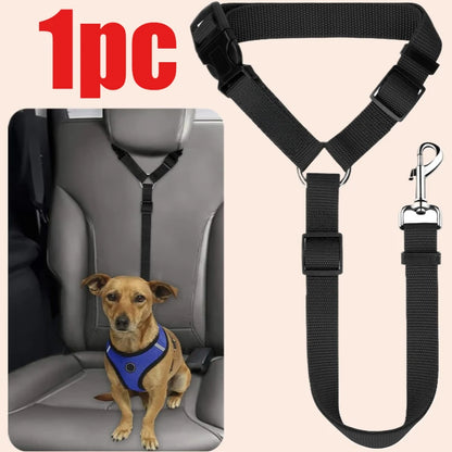 Cintura di sicurezza per auto per cani