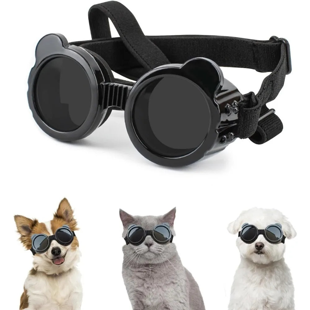 Lunettes rondes rétro pour chien