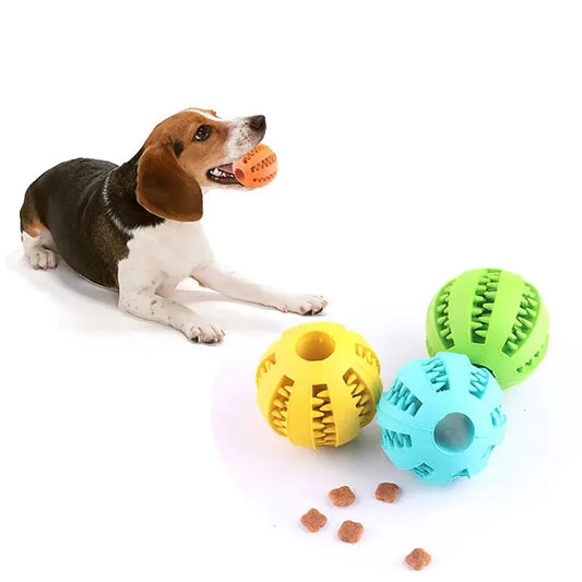 Toy Ball Feeder for Pets
