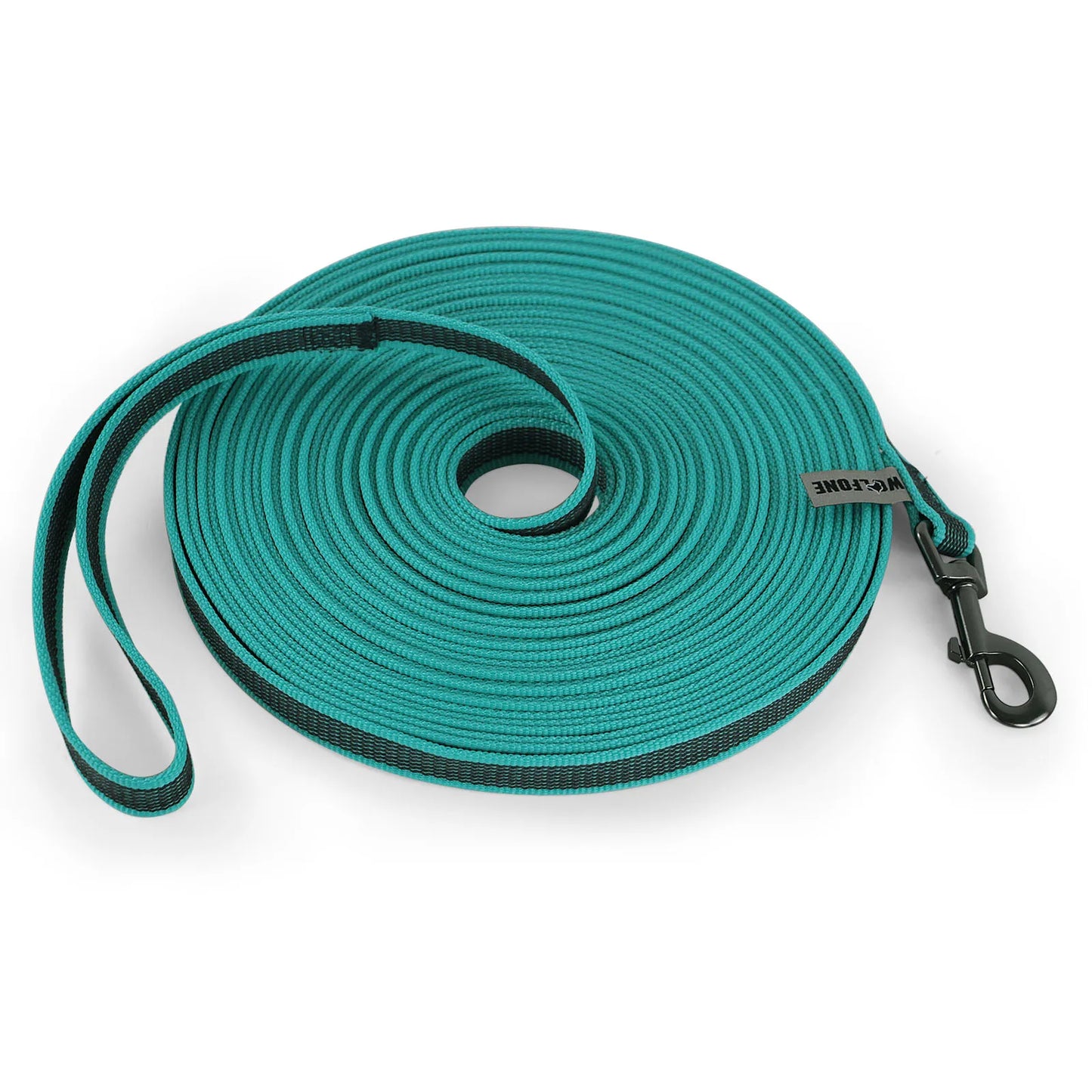 Heavy Duty Nylon Dog Leash