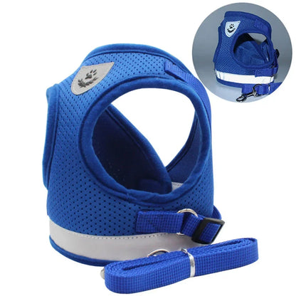 Cat Adjustable Harness Walking