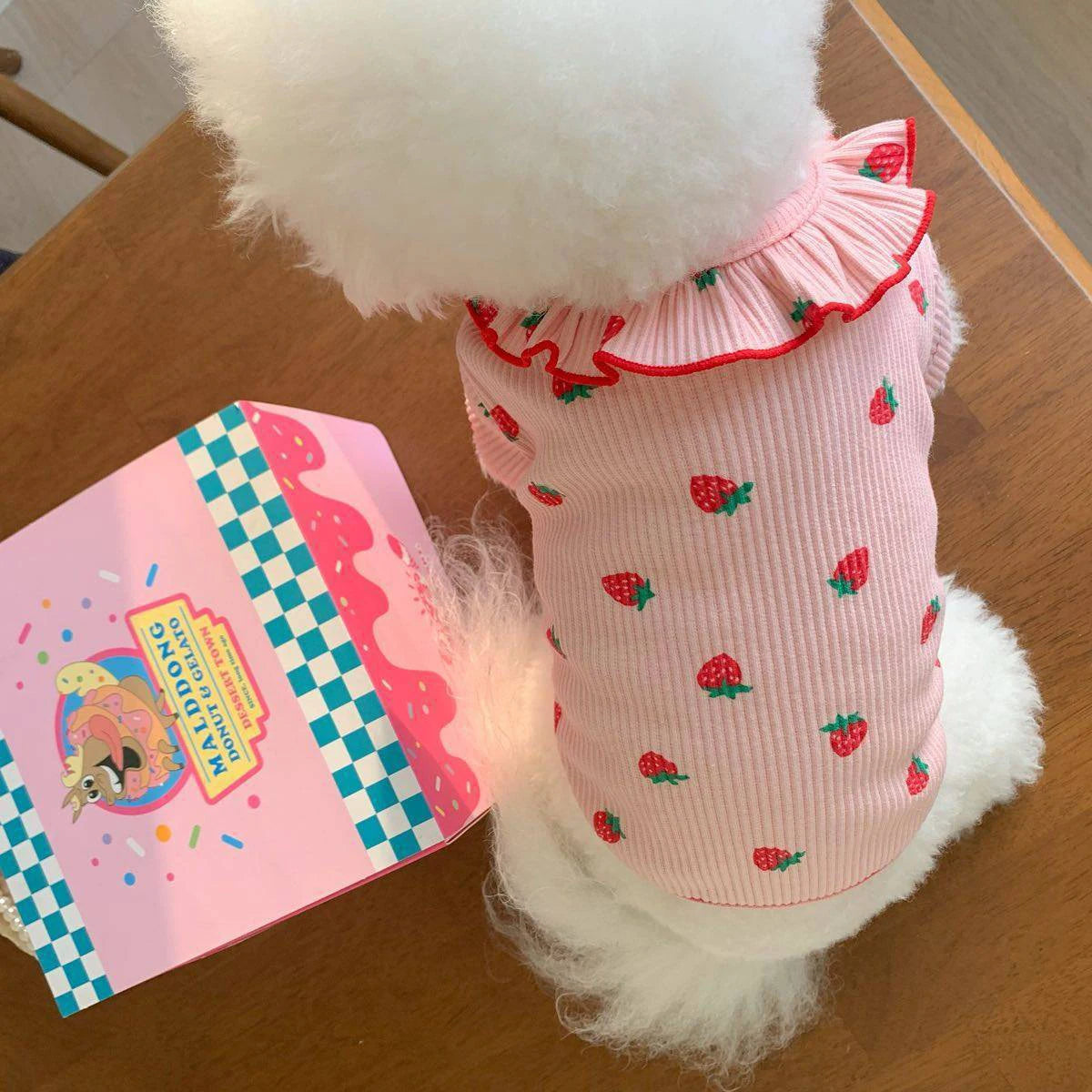 Strawberry Sweetheart Dog Sweater