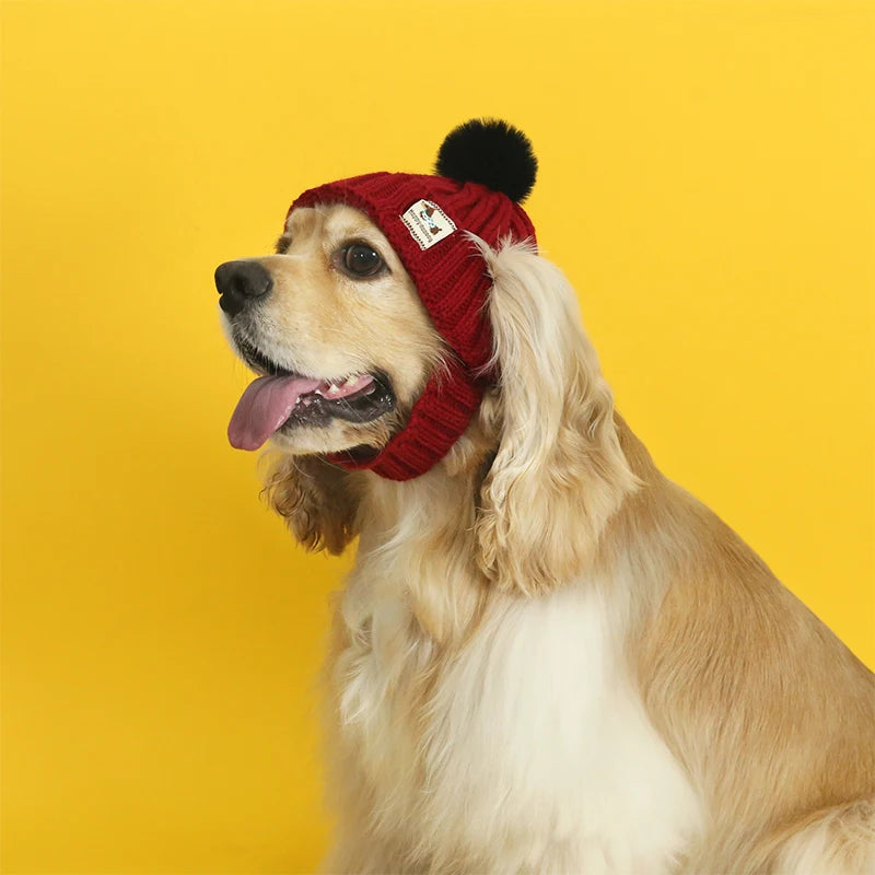 Ribbed Knit Pet Hat with Contrasting Pom-Pom