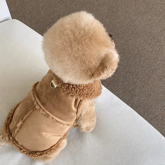 Warm Dog Coat with Leash