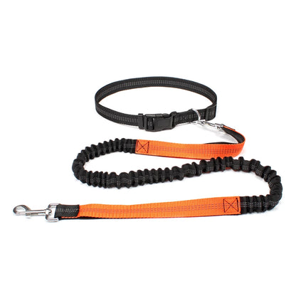 Dog Dad Pro Hands-Free Leash Set