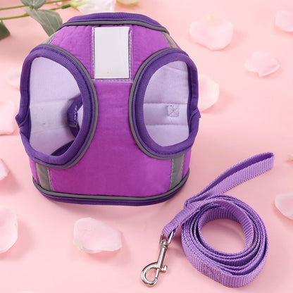 Butterfly Cat Harness Set